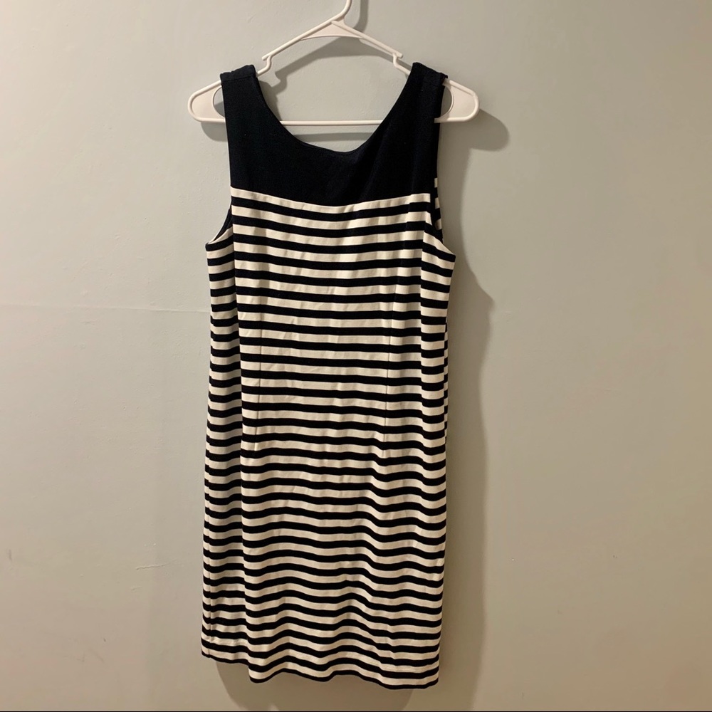 Navy White Stripe Sleeveless Banana Republic Dress